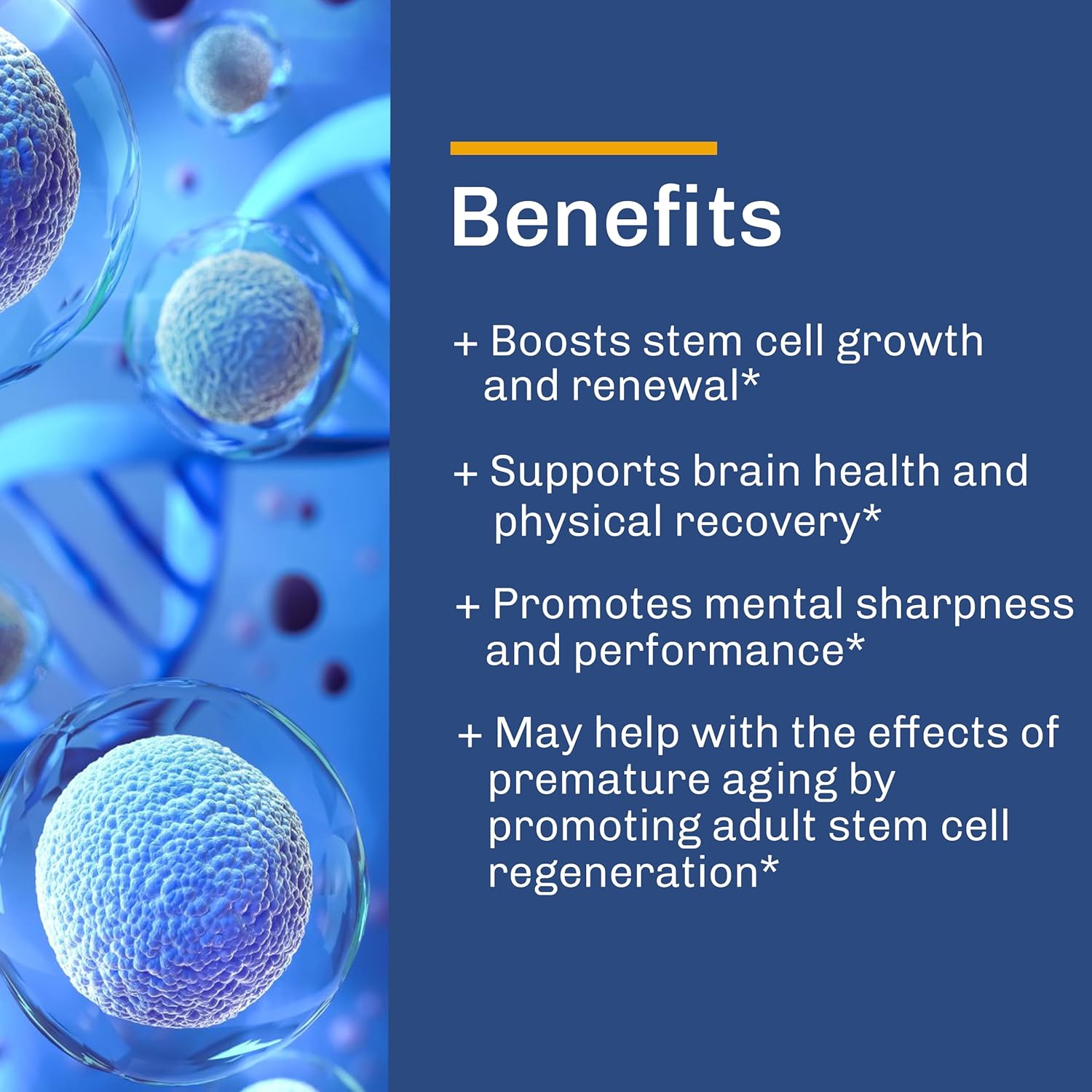 Stem Cell Supplements. Renewal Blend - Promotes Healthy Aging Through Cellular Renewal. Resveratrol, L-Carnosine, Polygonum Multiflorum Extract, Beta 1.3/1.6 Glucan. Non-GMO, Gluten Free.
