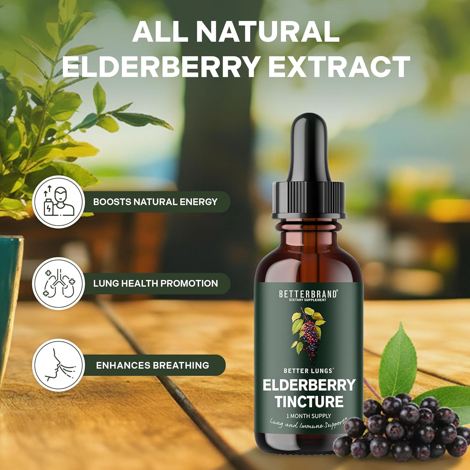 Betterbrand BetterLungs Elderberry Tincture, Natural Immune Support Supplement - Sugar-Free, Non-GMO, Alcohol Free, Vegetarian - 30 Day Supply