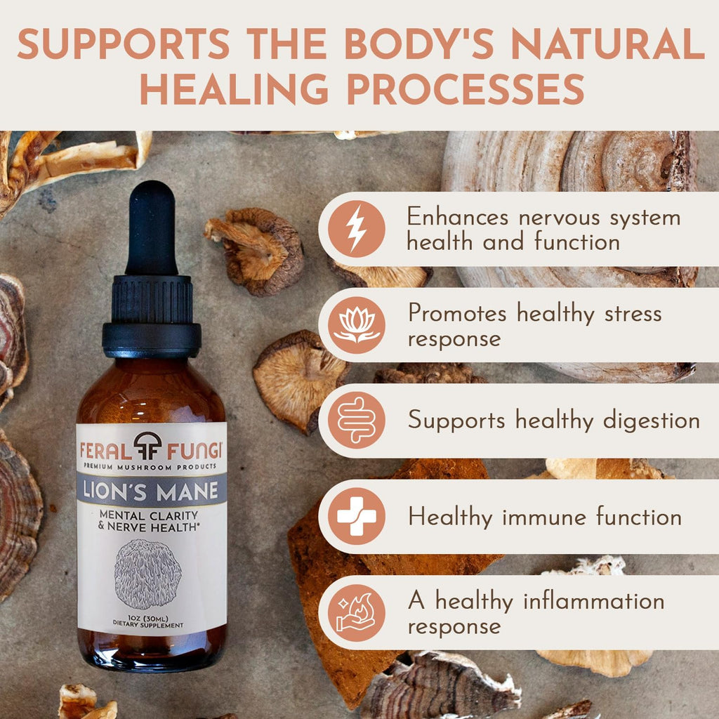 Lion’s Mane Extract – Triple-Extracted Spagyric Tincture for Brain and Nerve Function – 100% Fruiting Body – Natural Flavor – Grown and Made in The USA – 1 oz