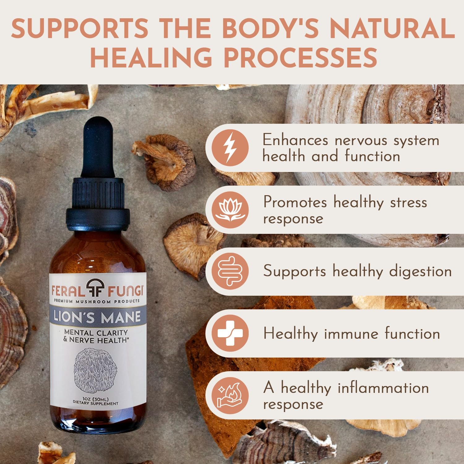 Lion’s Mane Extract – Triple-Extracted Spagyric Tincture for Brain and Nerve Function – 100% Fruiting Body – Natural Flavor – Grown and Made in The USA – 1 oz