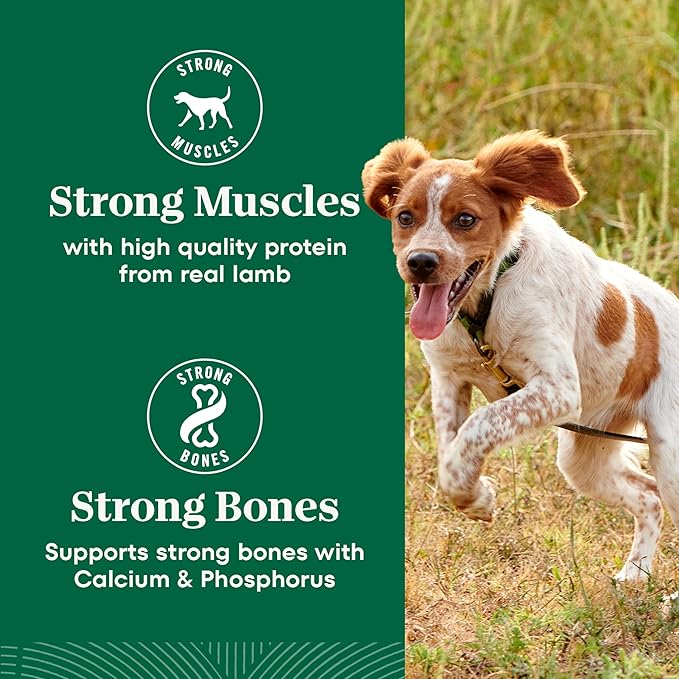 Nutro Natural Choice Adult Small Bites Dog Food, Chicken & Brown Rice Recipe, 30 lb. Bag
