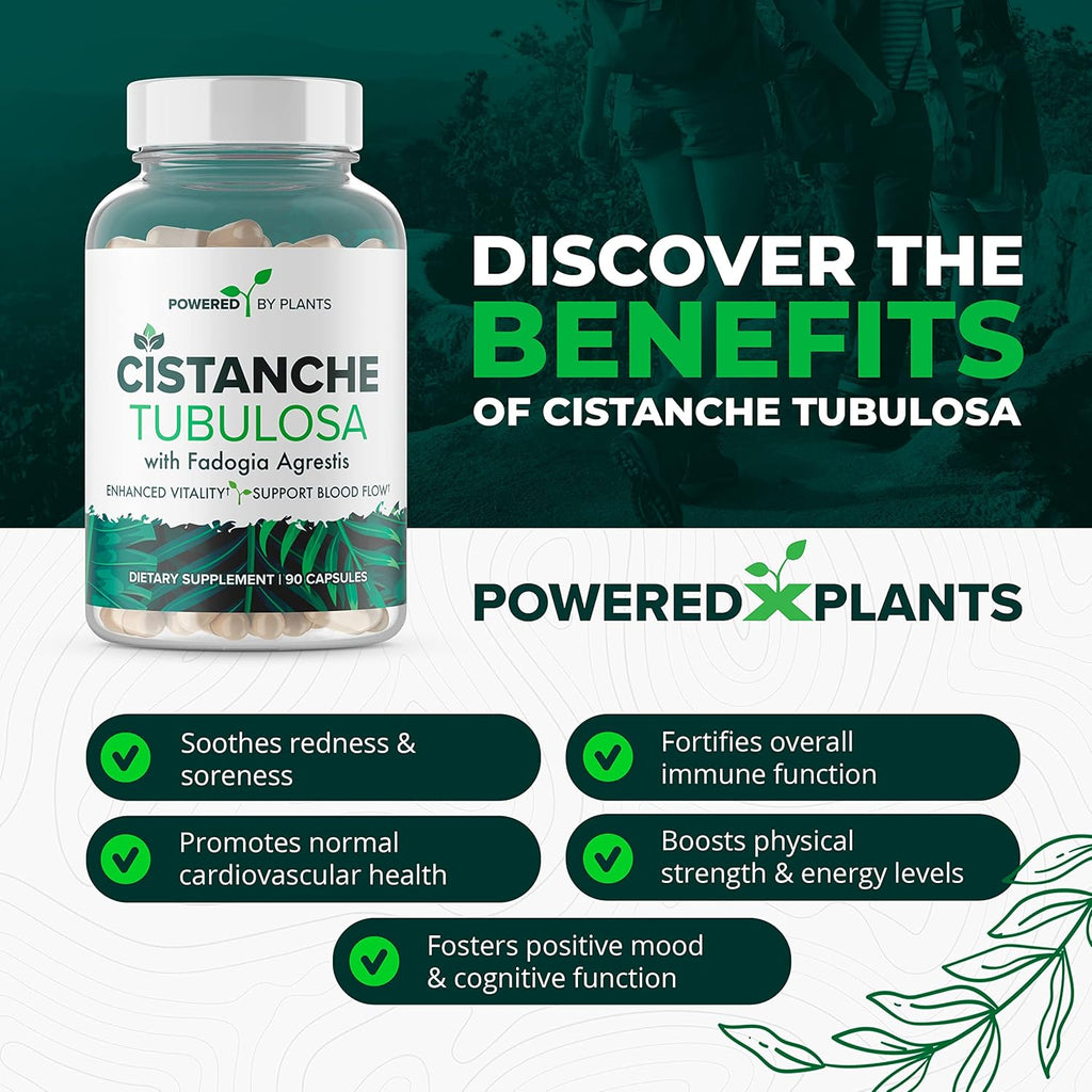 Cistanche Tubulosa with Fadogia Agrestis - Promotes Vitality - Natural Supplements for Men & Women with Bioperine by Powered X Plants, 90 Servings