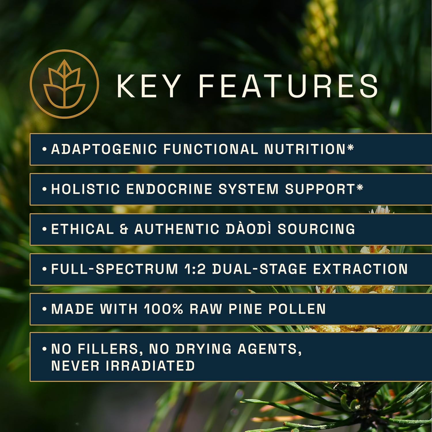 Forest Manna Royal Pine Pollen Tincture – 1:2 True Dual-Stage Extraction – Pure RAW Pine Pollen Tincture – 4 Fluid Ounce Bottle