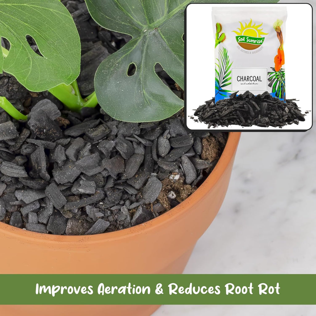 Horticultural Charcoal for Indoor Plants (30 Quarts), Hardwood Soil Additive for Orchids, Terrariums, and Gardening