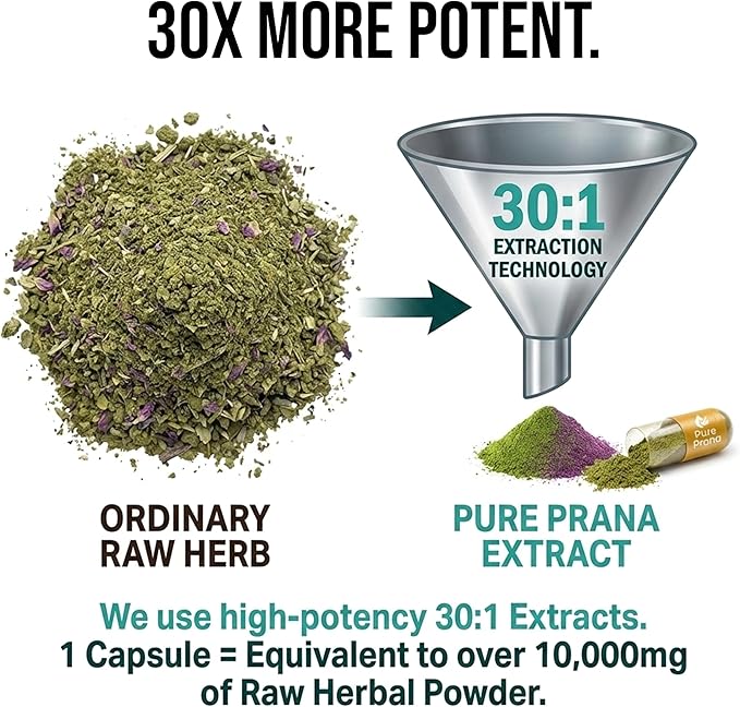 Pure Prana Elderberry & Giloy Capsules - Ayurvedic 10-Herb Immune Support with Tulsi, Neem, Turmeric & Ginger - Vegan Seasonal Defense Supplement for Adults - 60 Capsules