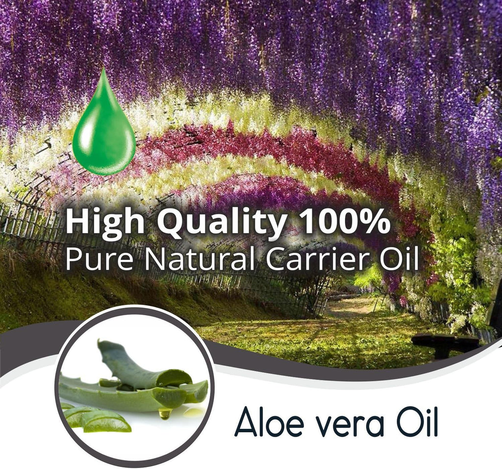 Aloe Vera Oil Therapeutic Premium Oil with Dropper by Salvia in Amber Glass Bottle 100% Natural Pure Undiluted Cold Pressed Aromatherapy Carrier Oil (50 ML with Dropper)