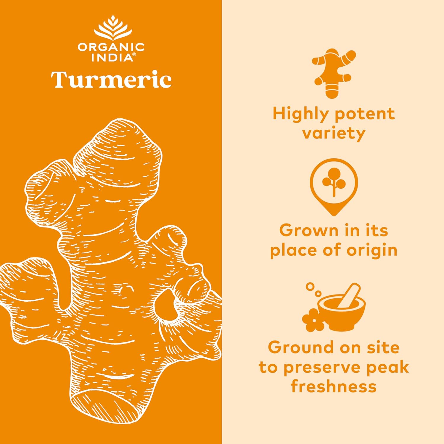 ORGANIC INDIA Turmeric Curcumin Herbal Supplement - Joint Mobility & Immune Support, Healthy Inflammatory Response, Whole Root Supplement, Trikatu, USDA Certified Organic, Non-GMO - 180 Capsules