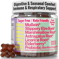 SHIZAM Slippery Elm, Mullein Leaf, Marshmallow Root, Licorice Root, Astragalus Root, Elderberry & Probiotic Bacillus Coagulans Gummies – Sugar-Free, Keto-Friendly, Vegan - Gymnema Sylvestre