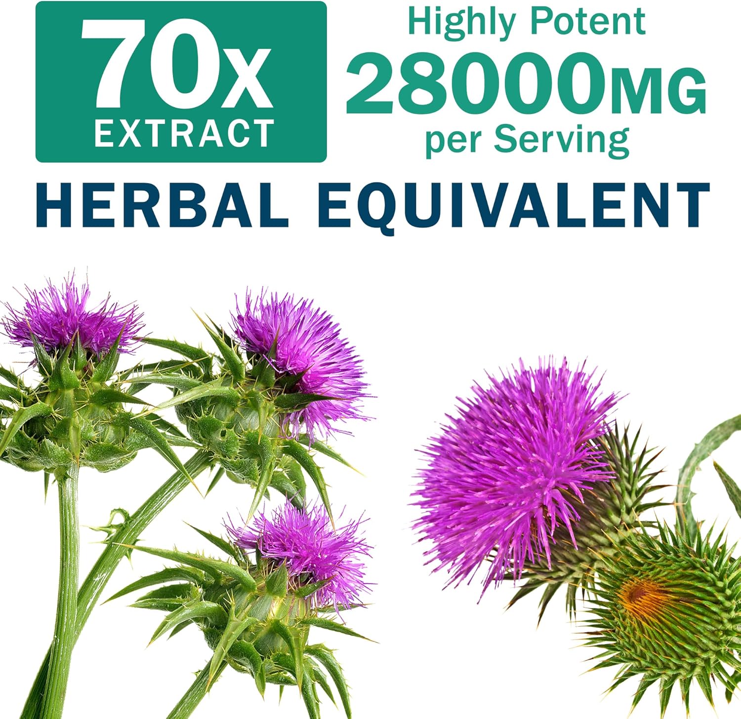 Milk Thistle 200mg Liver Detox Supplement with Dandelion Root & Artichoke Extract | 60 Capsules | Silymarin Antioxidant Support,Liver Cleanse & Herbal Health Supplement