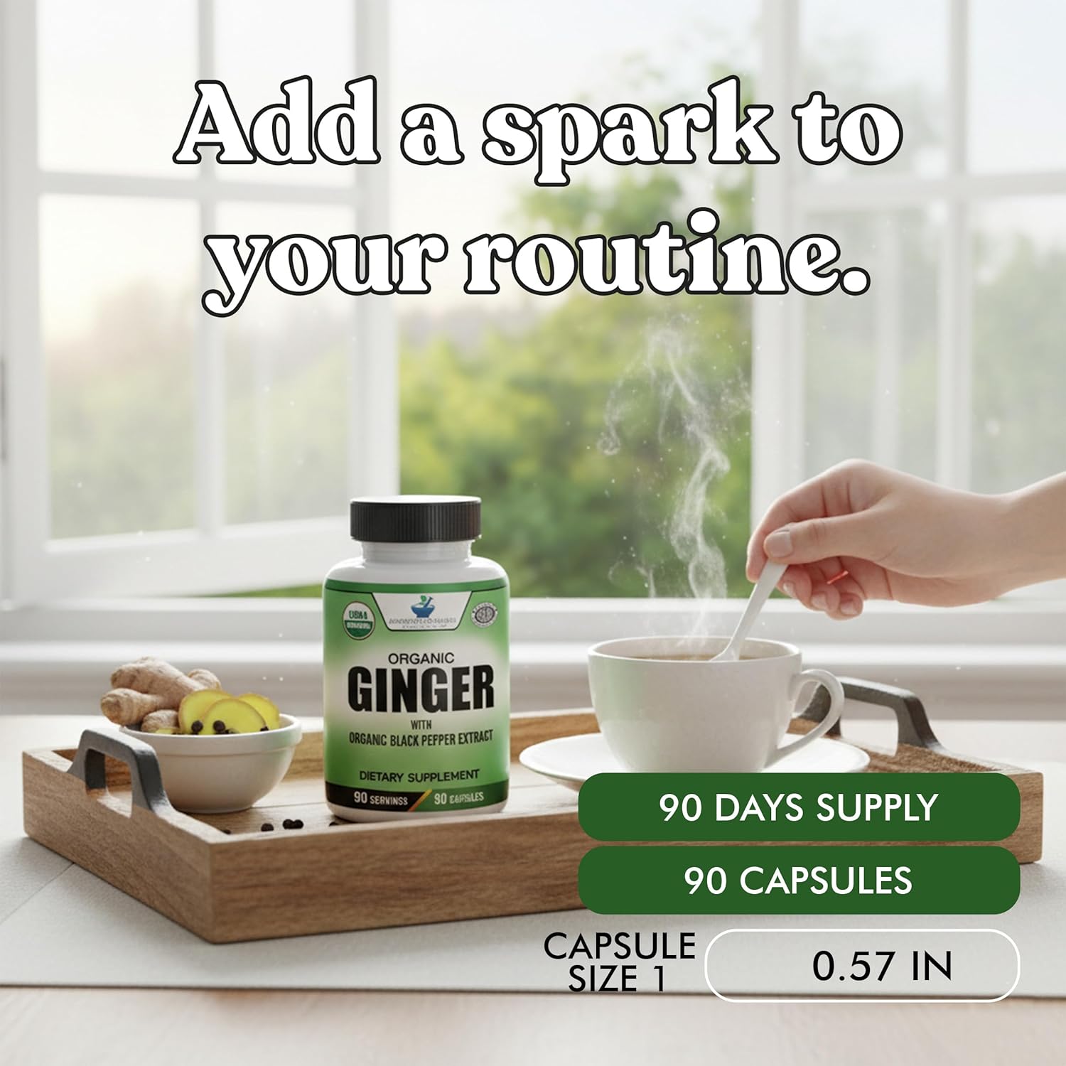 American Standard Supplements Organic Ginger Extract with Organic Black Pepper Extract, Vegan, Gluten Free, Non-GMO, 90 Capsules, 90 Servings
