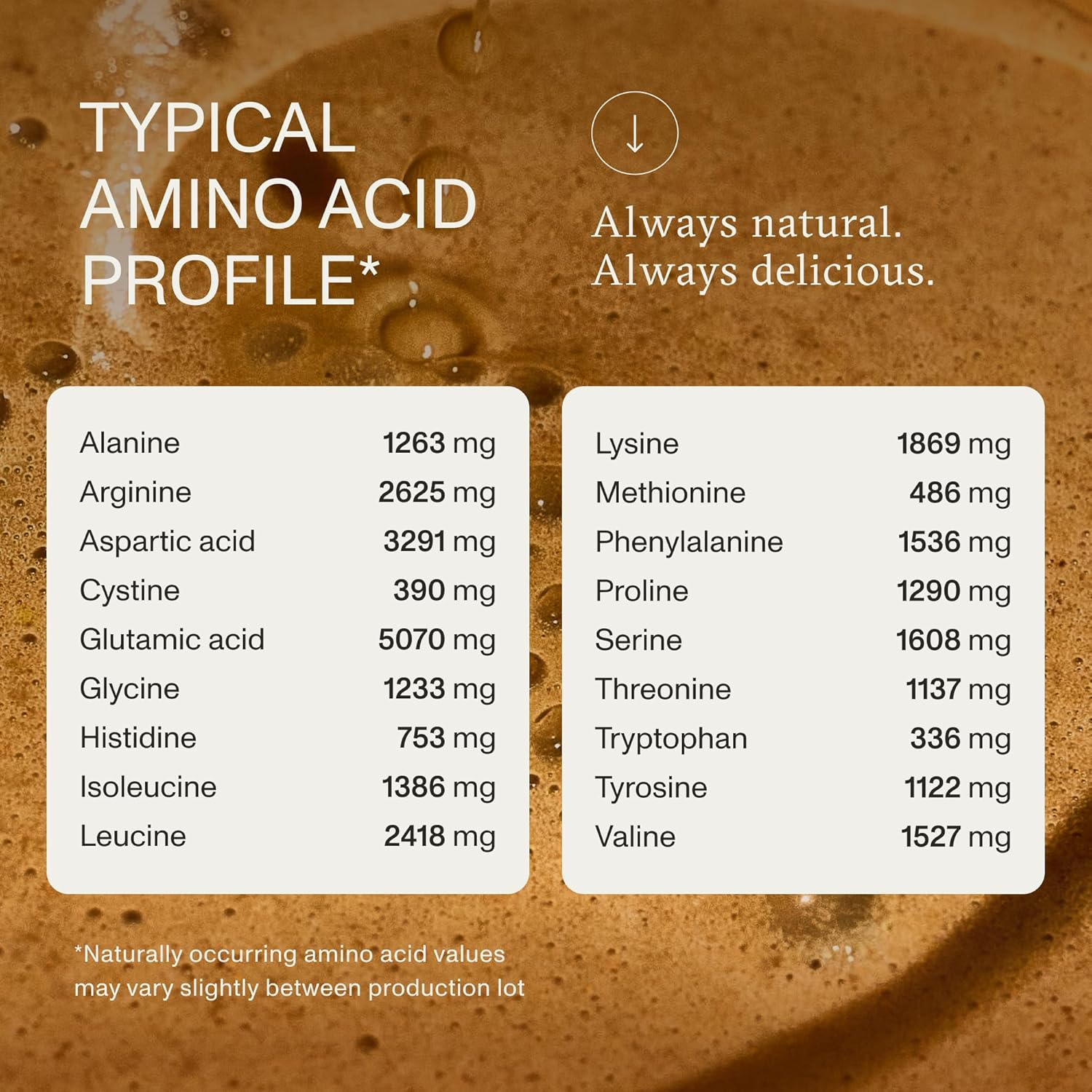 Synchro Genesis Plant Based Protein Powder | Chocolate Superfood | 30g of Organic Protein Per Serving | <1g Sugar | 1g Net Carbs | No Stevia | Superfoods + Prebiotics | Vegan + Keto Friendly