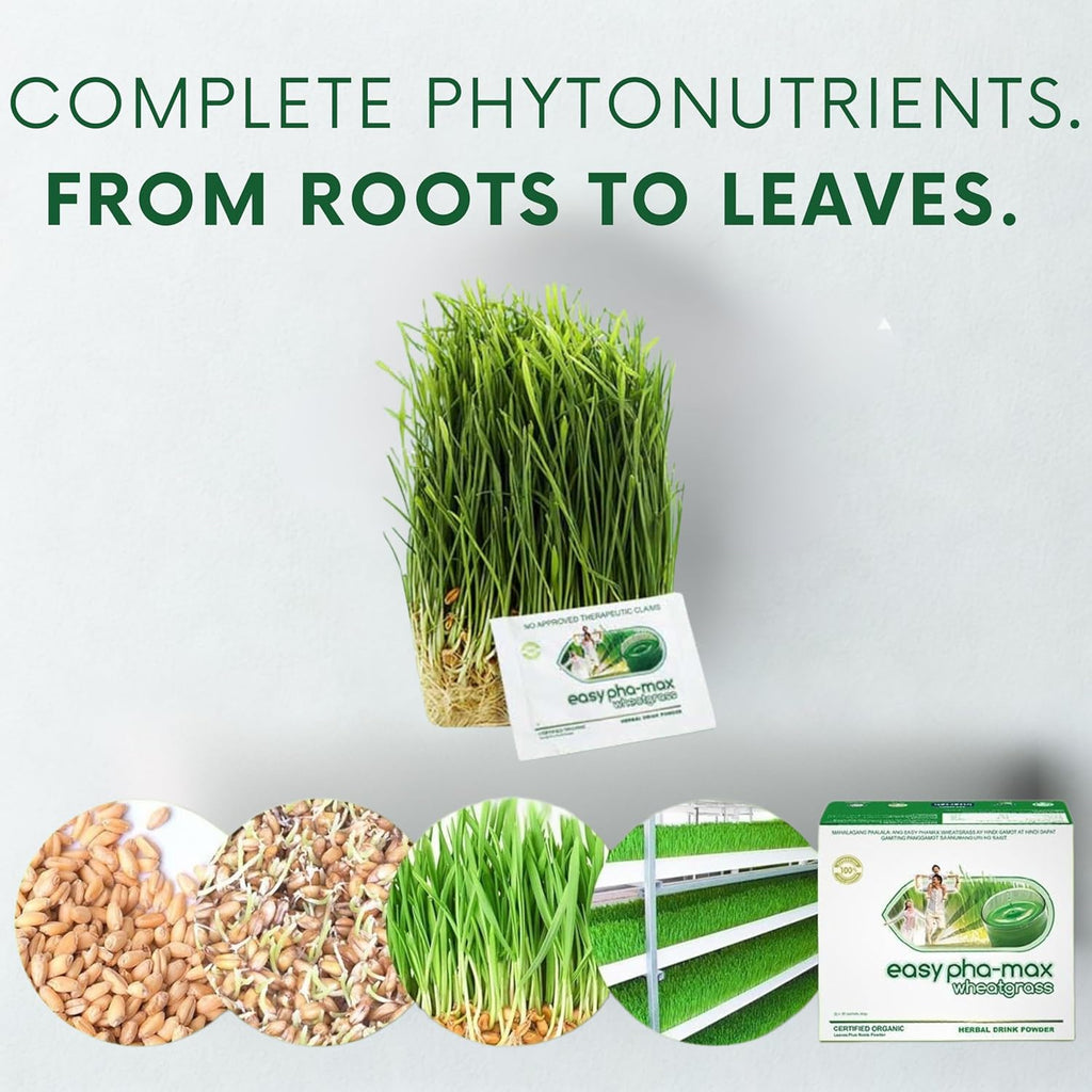 Organic Wheatgrass Powder – 100% Whole Plant with Leaves & Roots | Cold-Processed for Nutrient Retention, 100+ Vitamins, Amino Acids & Enzymes | Non-GMO & Soil-Free | 66 Travel-Ready Sachets