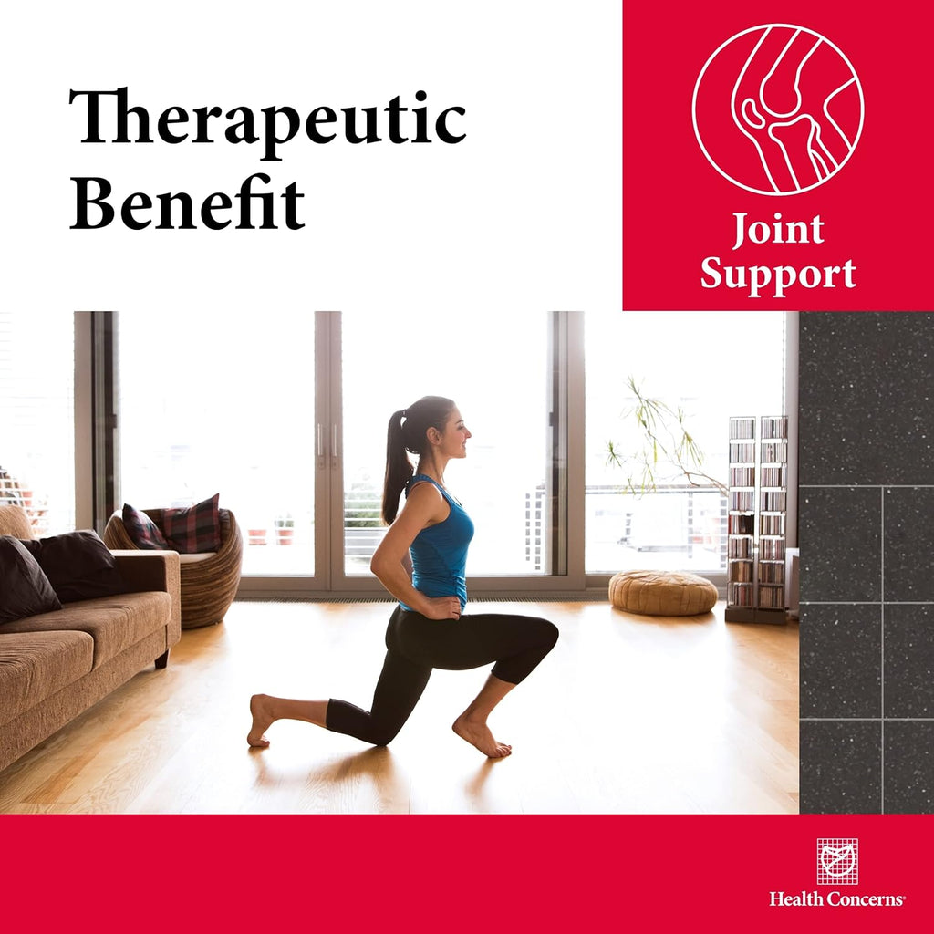 Health Concerns Mobility 2 – Joint Health Support Supplement for Men & Women – Chinese Herbal Circulation Support – Natural Joint & Muscle Aid – Herbal Extracts – 270 Capsules