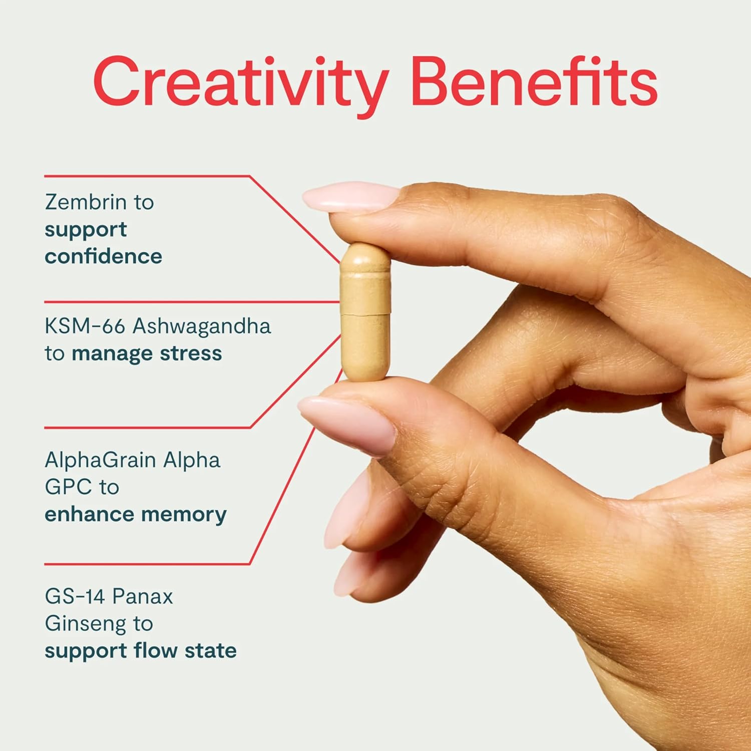 Thesis Creativity - Nootropic Brain Support Supplement - Supports Learning & Memory, Verbal Fluency, and More - Ashwagandha, Agmatine, L-Theanine & More - 1 Month Supply (24 Servings)