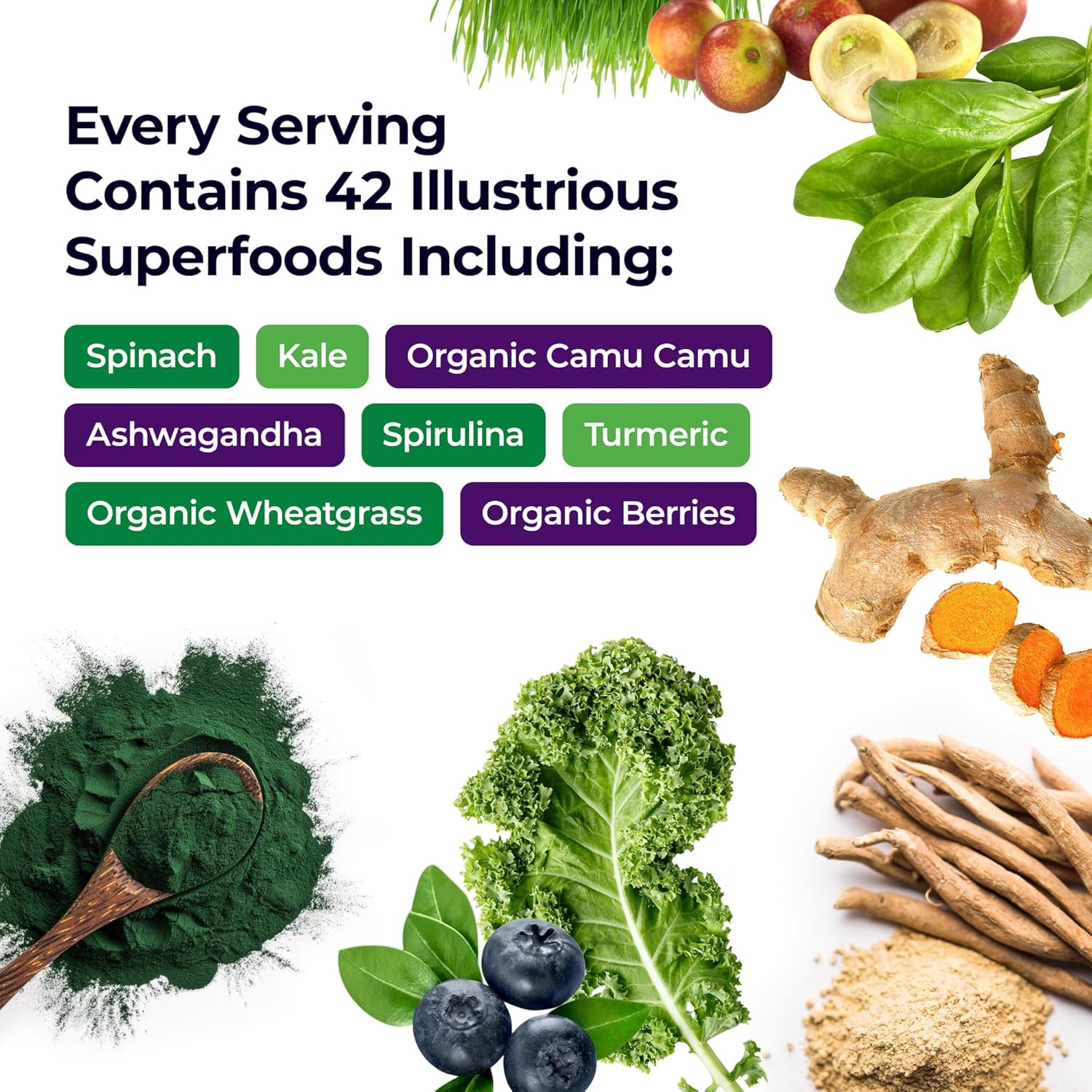 Paradise Herbs, ORAC Energy, Superfood Capsules, Includes Over 42 Organic & Wild-Crafted Ingredients, Probiotics & Enzymes, 120