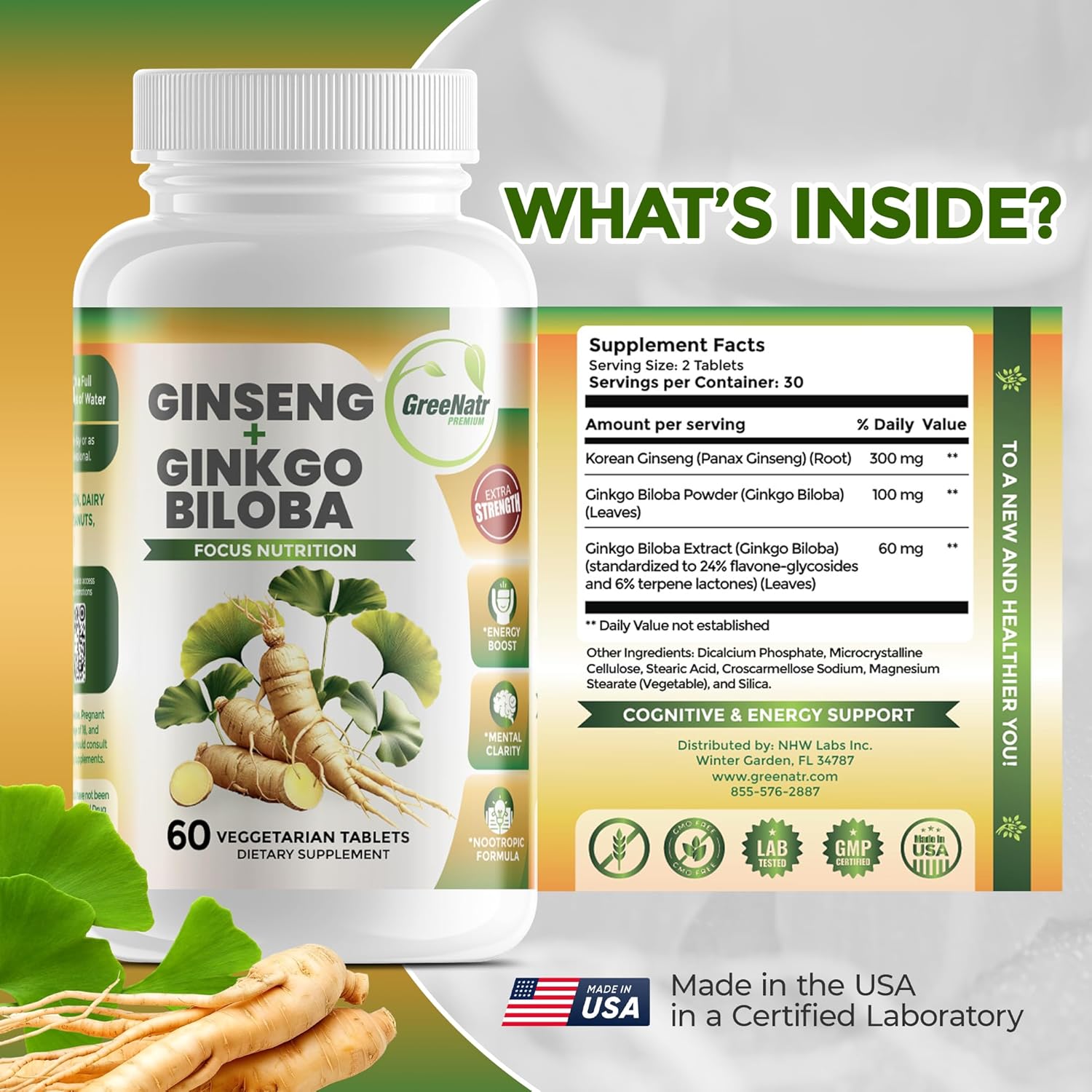Ginko Biloba & Panax Ginseng Supplement - Red Ginseng Brain Supplement for Memory and Focus - Ginkgo Biloba Supplements for Good Vision, Immune System and Improved Blood Flow - 12 Bottles