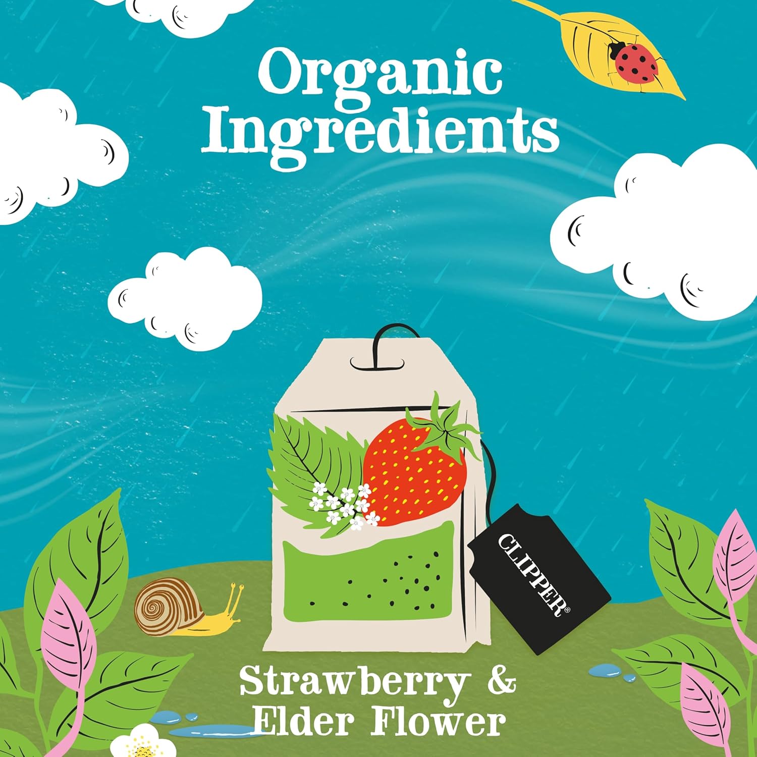 Clipper Tea Strawberry & Elderflower Herbal Tea – Caffeine Free, USDA Organic, Great Hot or Iced – Refreshingly Fruity, Natural, Fair & Delicious – 50 Tea Bags