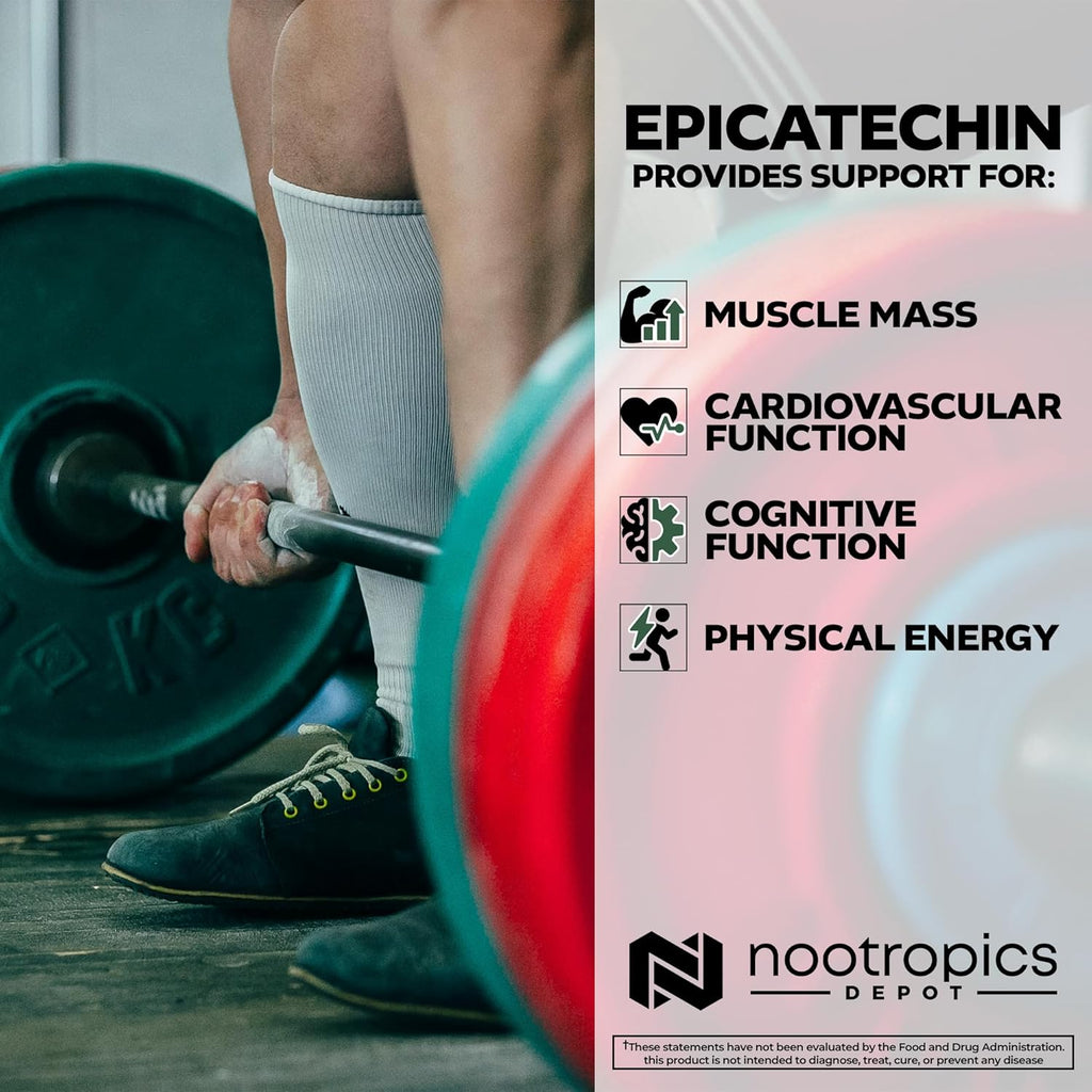 Nootropics Depot Epicatechin Tablets | 200mg (−)−Epicatechin + 6mg Piperine for Bioavailability | Green Tea Extract | Promotes Muscle Mass, Cardiovascular Health, and Energy | 90 Count