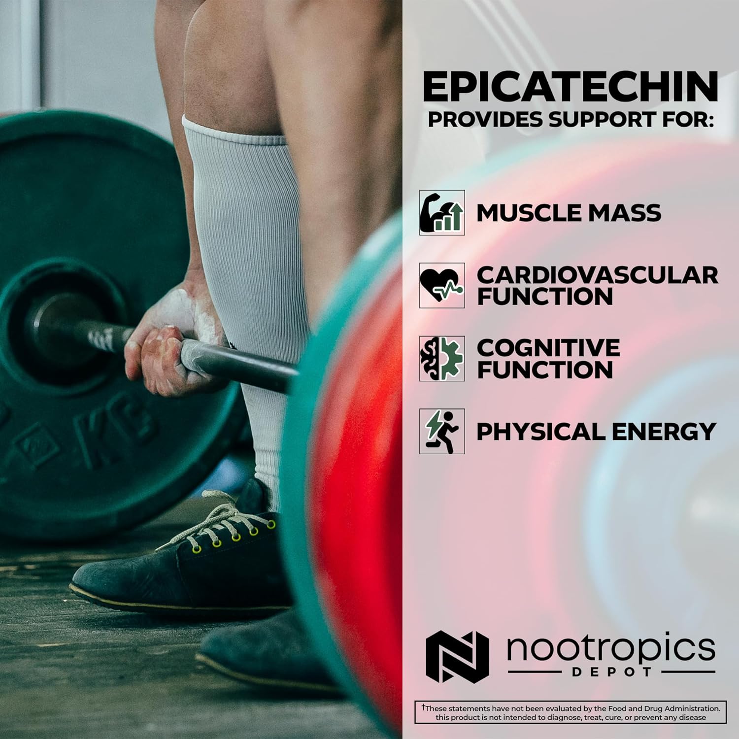 Nootropics Depot Epicatechin Tablets | 200mg (−)−Epicatechin + 6mg Piperine for Bioavailability | Green Tea Extract | Promotes Muscle Mass, Cardiovascular Health, and Energy | 90 Count