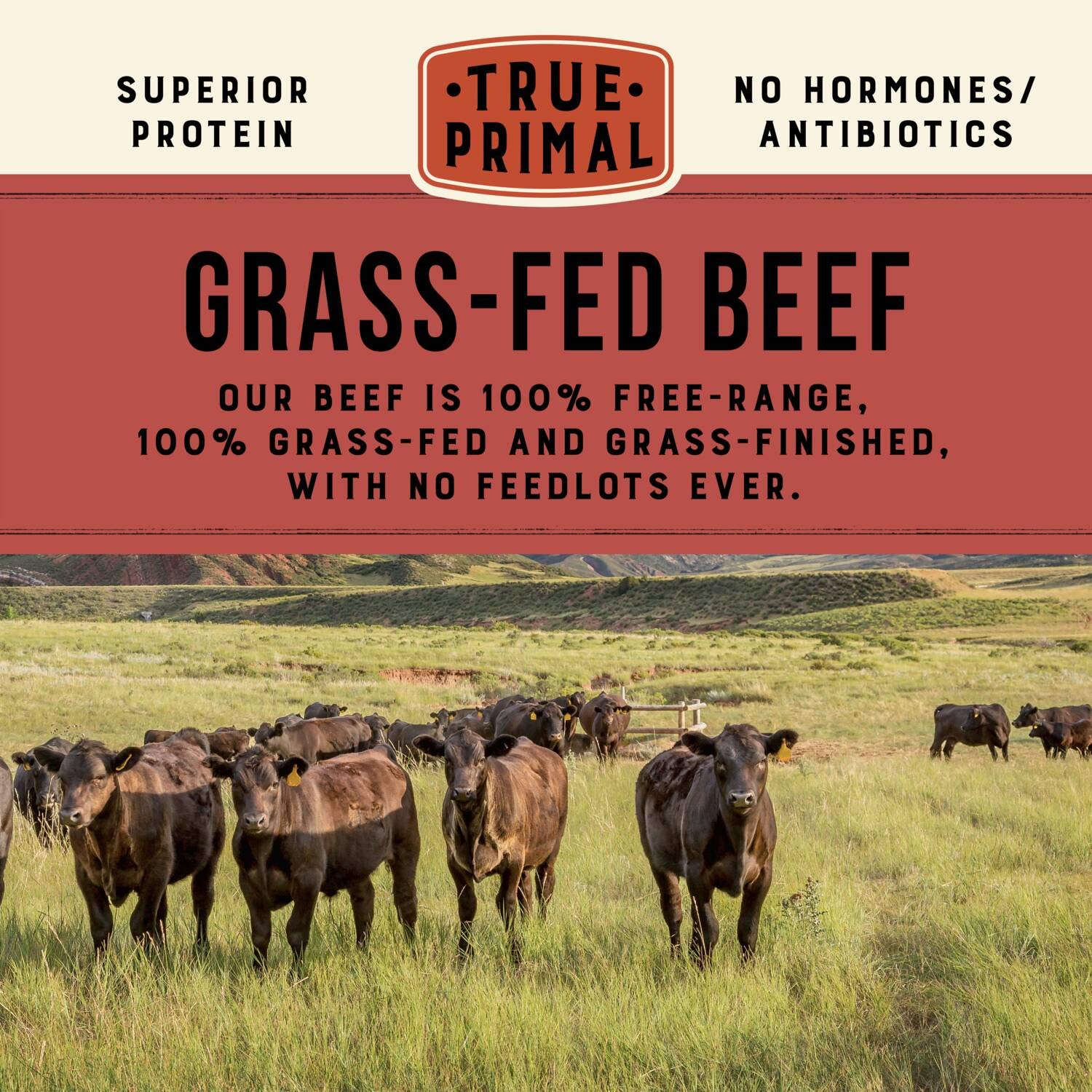 True Primal Savory Wedding Organic Soup 8-pack, Ready to eat, Gluten free, Paleo, Grass-fed beef, Whole30, Keto, Bone broth