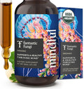 Fantastic Fungi Organic Mushroom Tincture - Mindful Elixir with Lions Mane Mushroom Extract, Bacopa & Ginkgo Leaf - Drops for Focus, Clarity & Memory Support - Formulated in USA, 30 Servings, 1 fl oz