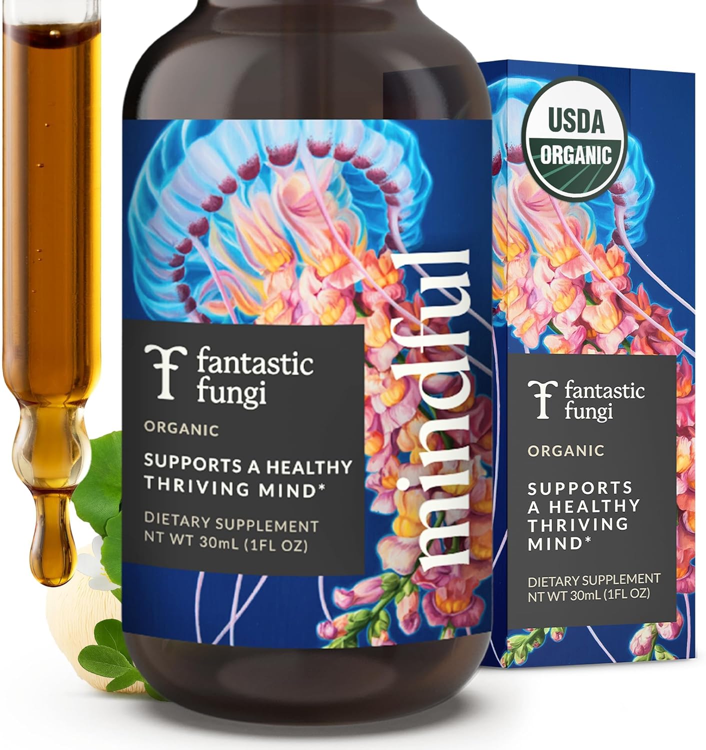 Fantastic Fungi Organic Mushroom Tincture - Mindful Elixir with Lions Mane Mushroom Extract, Bacopa & Ginkgo Leaf - Drops for Focus, Clarity & Memory Support - Formulated in USA, 30 Servings, 1 fl oz