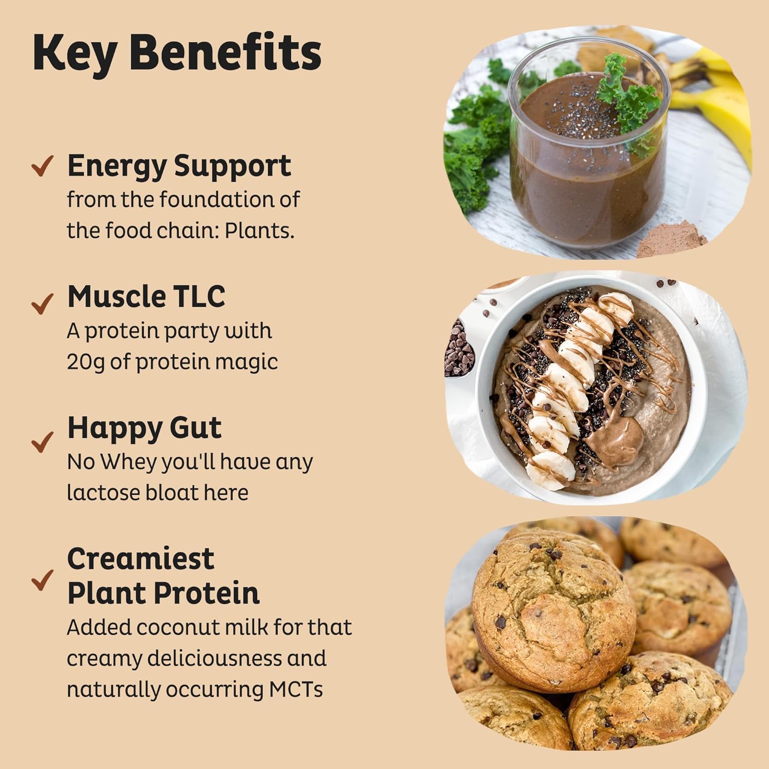 KOS Vegan Protein Powder, Chocolate Peanut Butter - Low Carb Pea Protein Blend, USDA Organic Superfood with Vitamins & Minerals - Keto, Soy, Dairy Free - Meal Replacement for Women & Men - 10 Servings