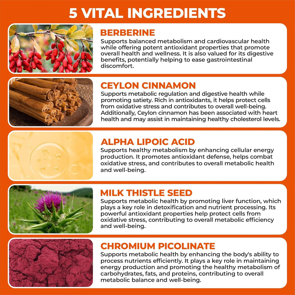 Berberine Supplement with Ceylon Cinnamon, Chromium, Alpha Lipoic Acid, Metabolic Care Supports Metabolism & Cardiovascular Health and Immune System, Helps Maintain Steady Energy Levels