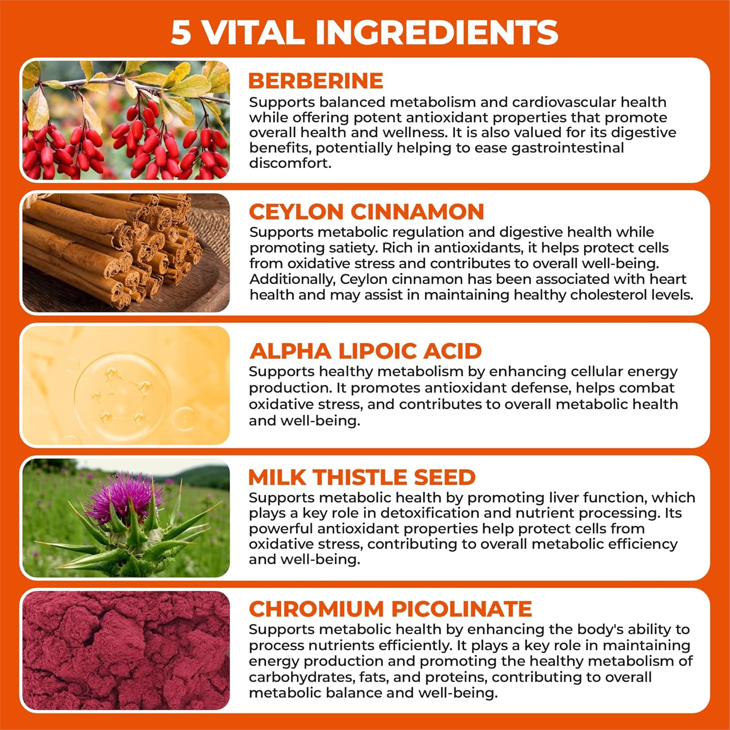 Berberine Supplement with Ceylon Cinnamon, Chromium, Alpha Lipoic Acid, Metabolic Care Supports Metabolism & Cardiovascular Health and Immune System, Helps Maintain Steady Energy Levels