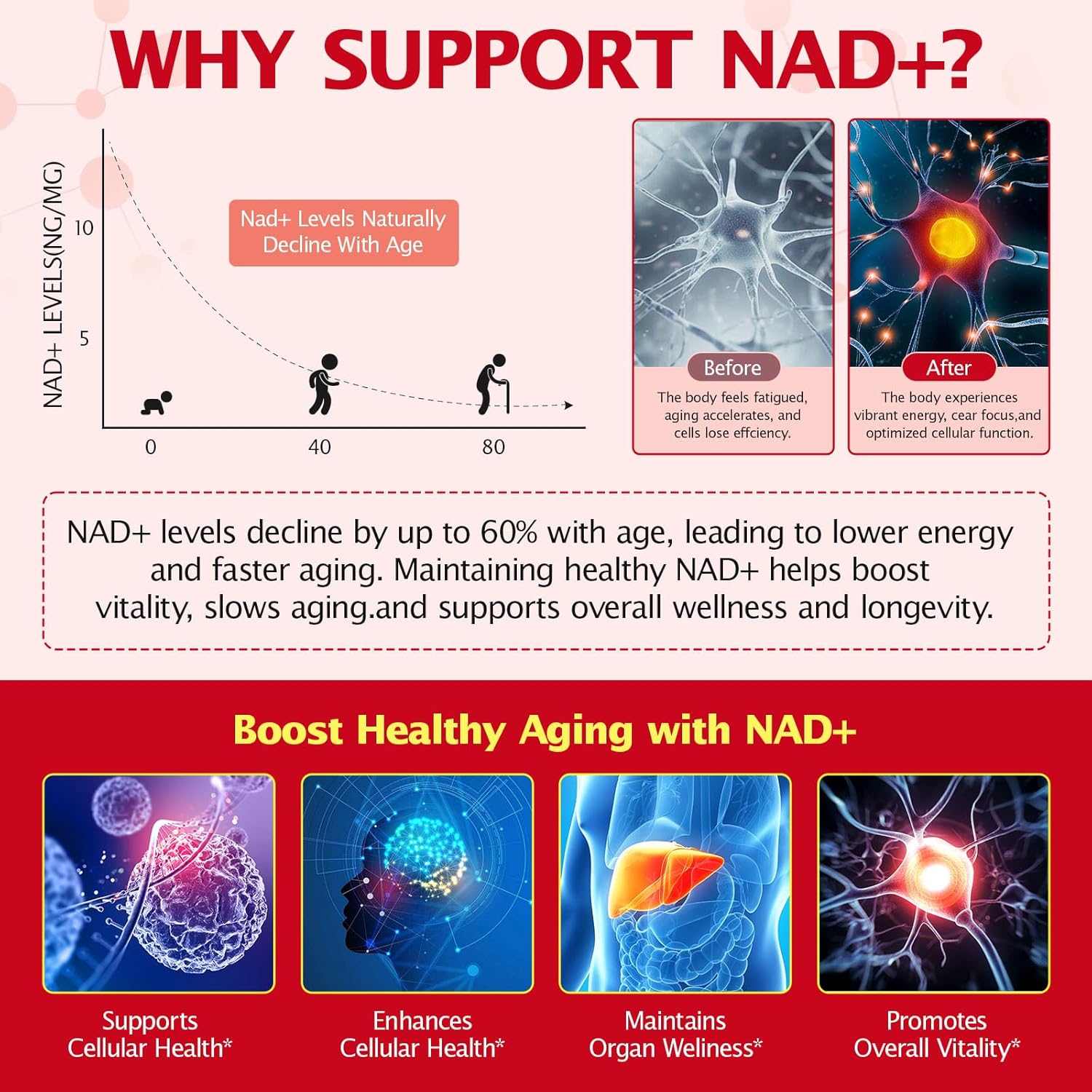 1000MG High-Pontency Liposomal NAD+ Liquid Supplement with Resveratrol & Quercetin, High Purity-Supports Cellular Longevity, Anti-Aging, Energy Metabolism | 21 Packets