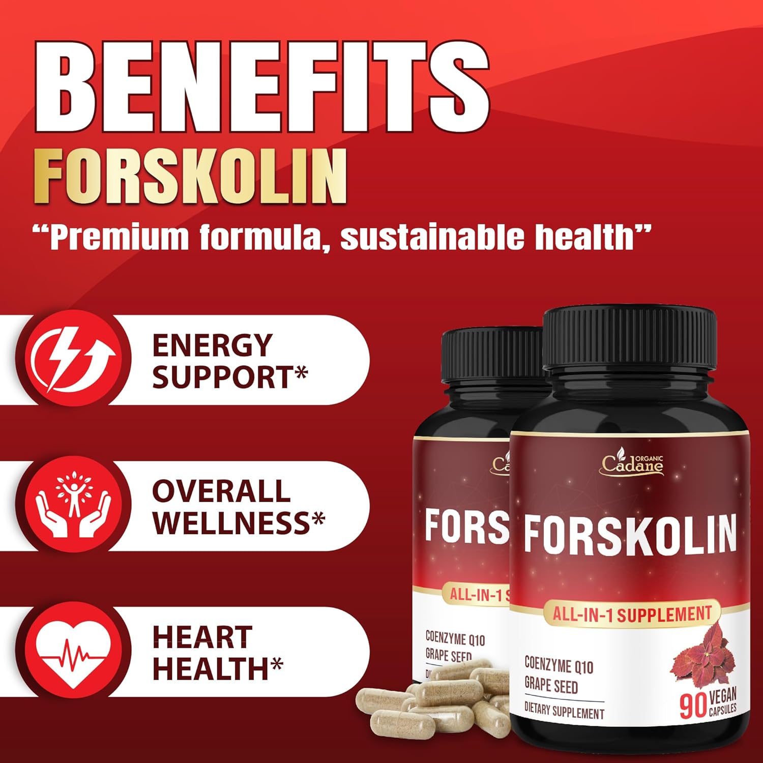 Organic Cadane Forskolin Supplement with Coenzyme Q10 & Grape Seed Extract | Supports Body Management & Energy | Vegan, Non-GMO – 90 Capsules – 45-Day Supply