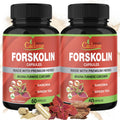 Organic Cadane 2 Packs Forskolin Supplements Capsules & Turmeric, Arjuna, Garcinia Cambogia, Green Tea - Maximum Strength Coleus Forskohlii Extract - Support Energy Production & Immune System