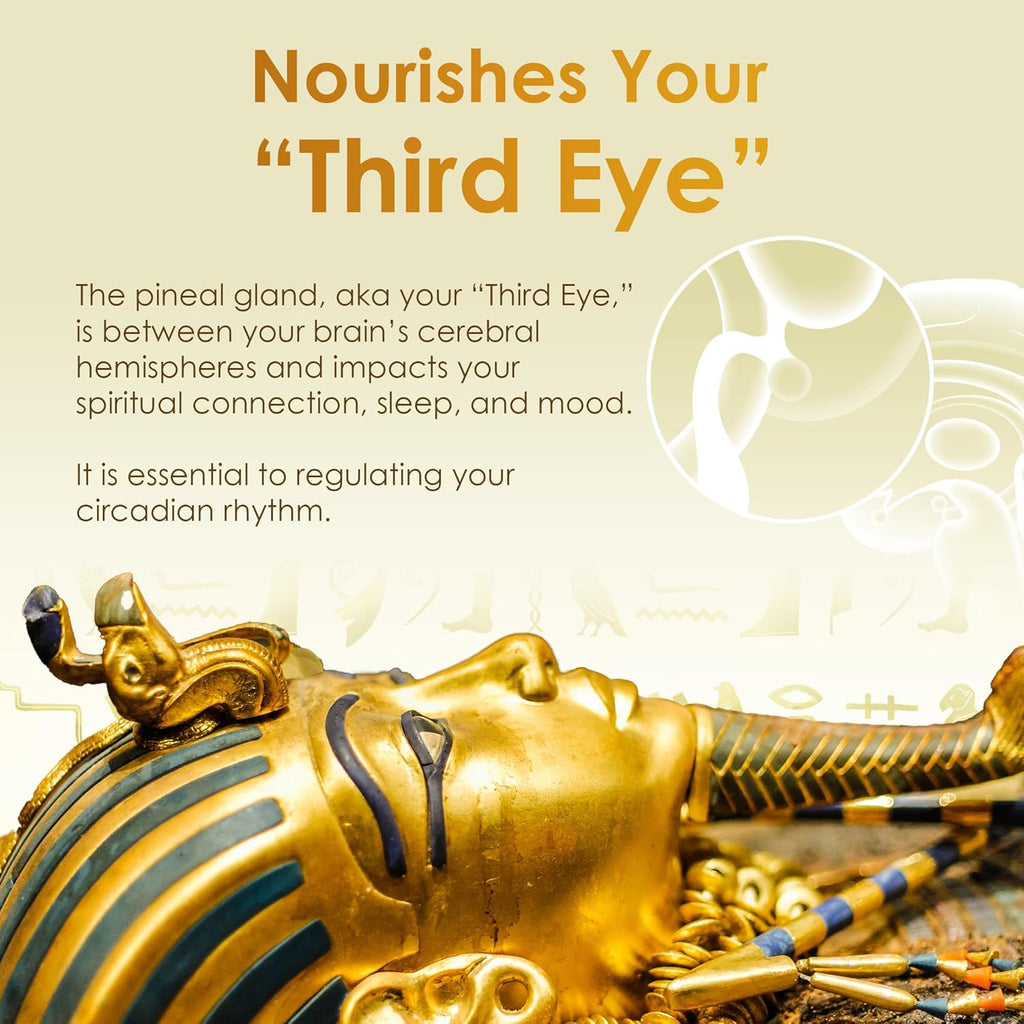 Ultra-Pure, 99.9% Liquid Gold - 24K Monoatomic Gold Ormus - Third Eye Awakening, Pineal Gland Decalcification, Awaken DNA, Unlock Light Speed Manifestation - Pharaoh's Nectar XT