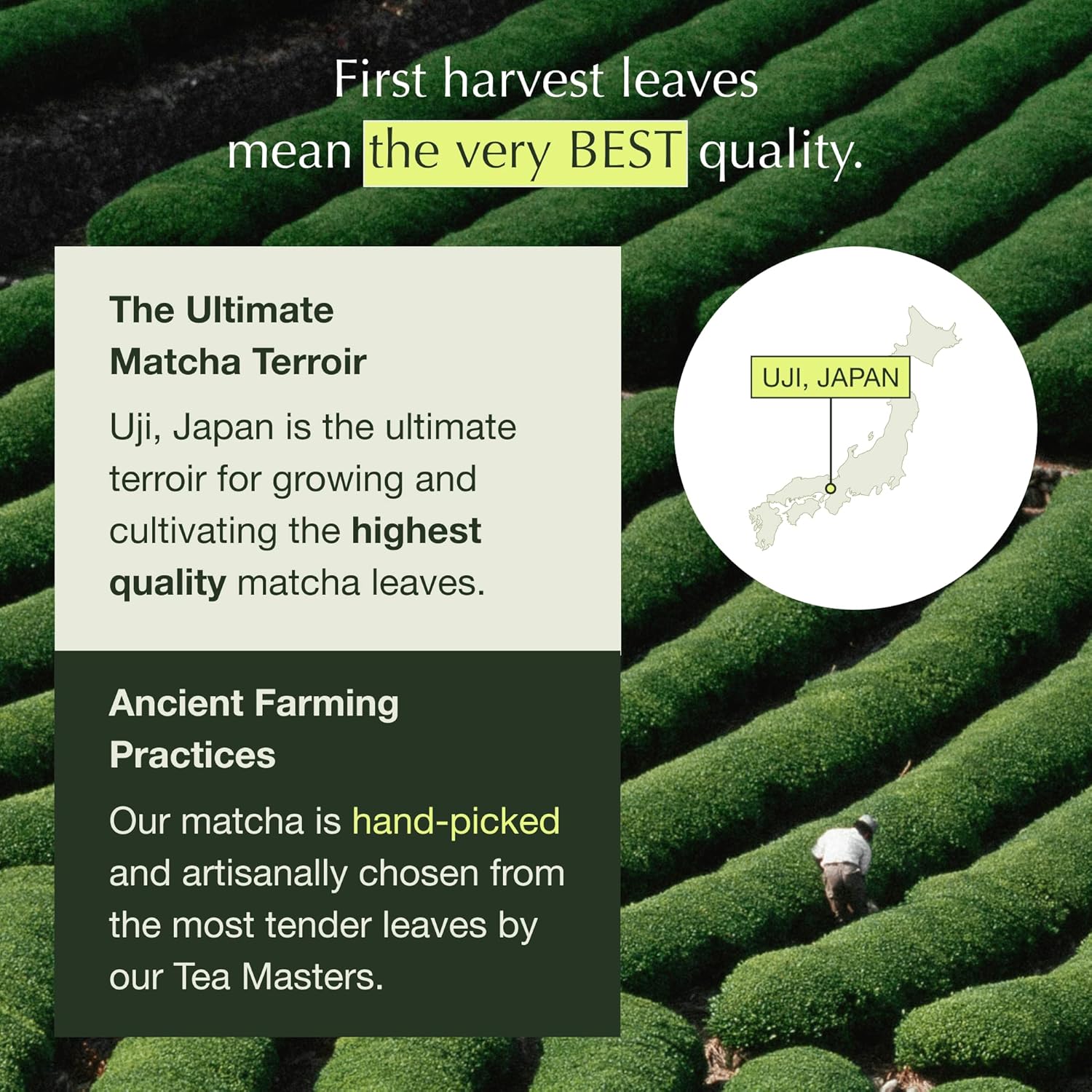 Encha Ceremonial Grade Matcha Powder - Organic First Harvest Japanese Matcha Green Tea, Matcha Tea From Uji, Japan (60g/2.12oz)
