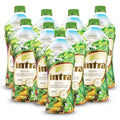 Intra Lifestyles Herbal Juice Drink – Botanical Beverage for Immune Support, Detox, Digestive & Cardiovascular Health – 23 Botanical Extracts – Made in Canada 9 Bottles (950 mL / 32 fl oz Each)