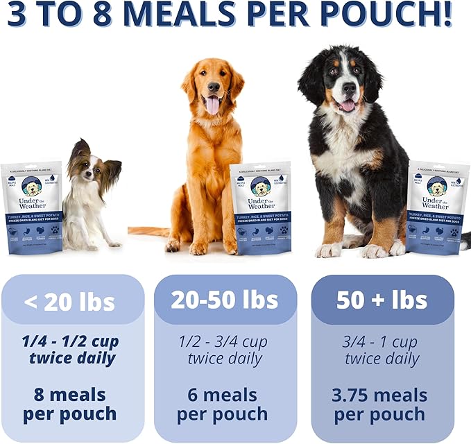 Under the Weather Bland Diet for Dogs | Easy to Digest for Sick Dogs |Always Be Ready| Contains Electrolytes - All Natural Freeze Dried 100% Human Grade Meats| 1 Pack- Rice Turkey & Sweet Potato - 6oz