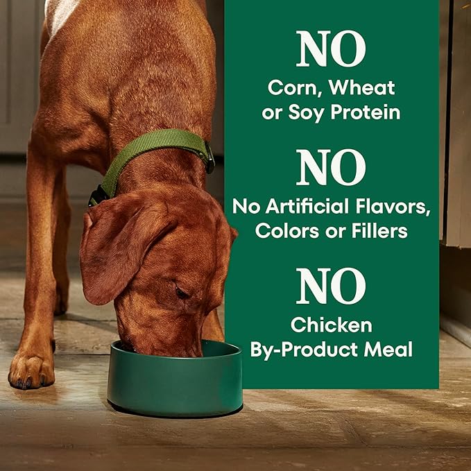 Nutro Natural Choice Adult Large Breed Dog Food Dry, Lamb & Brown Rice Recipe, 30 lb. Bag