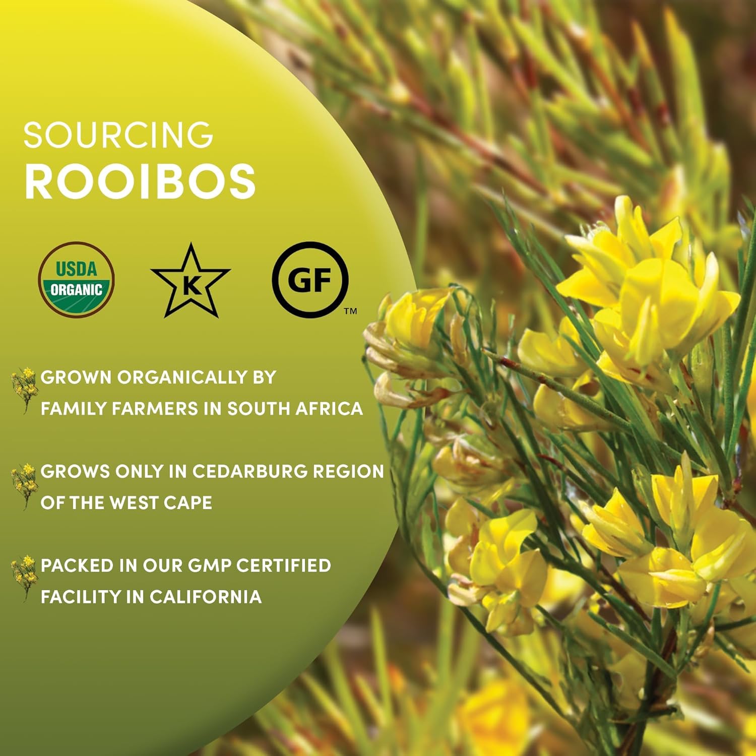 Worldwide Botanicals Organic Red Rooibos Tea – 1lb - 100% South African Aspalathus linearis – Loose Leaf, Cut and Sifted - Resealable Bag for Freshness, 1 Pound Bag