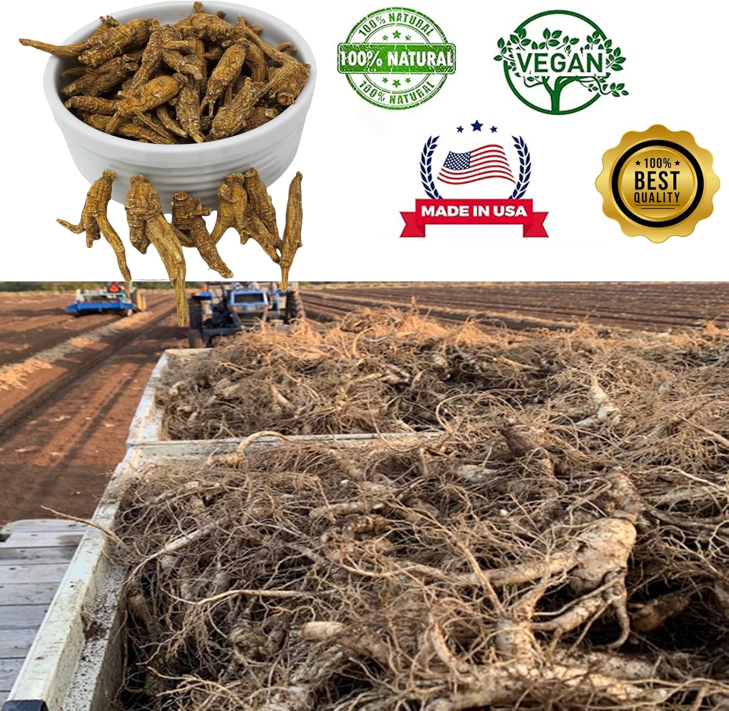 Wisconsin American Ginseng, American Wisconsin Ginsengss Slices Root 西洋参/花旗参 Energy for Men & Women Ginseng in Soup, Tea Smoothies Large 4 Ounce Box
