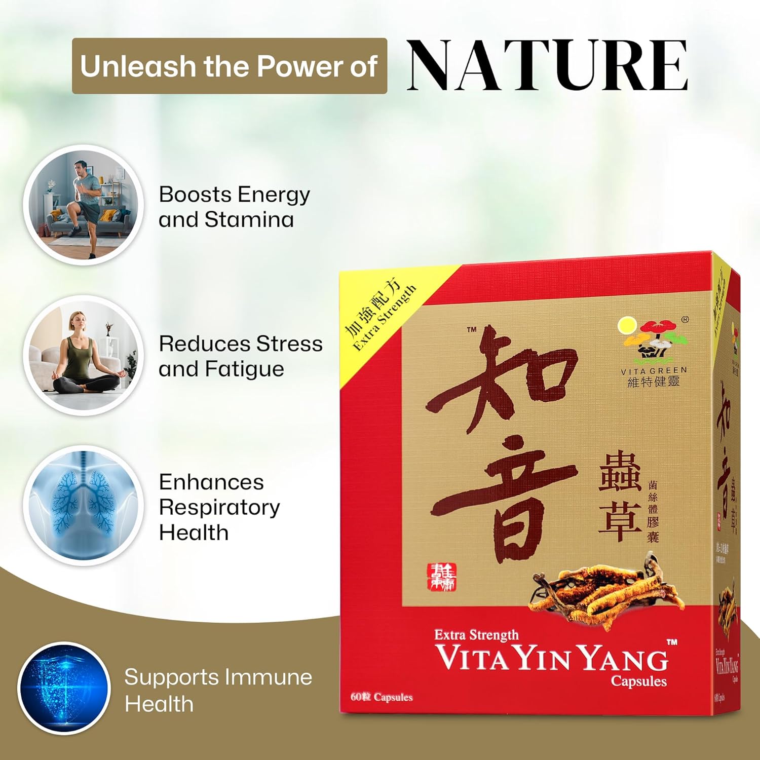 Vita Green Yin Yang Cordyceps Mycelium Herbal Supplement (知音蟲草) - Supports Respiratory Wellness, Energy, and Liver & Kidney Health - 60 Capsules