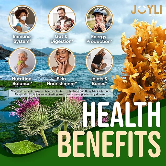 Sea Moss Gummies - Irish Seamoss Gummies for Adults & Kids - Advanced Superfood Supplement with Natural Sea Moss Gel, Bladderwrack & Burdock Root Extract - 60 Vegan Irish Moss Gummy Bears