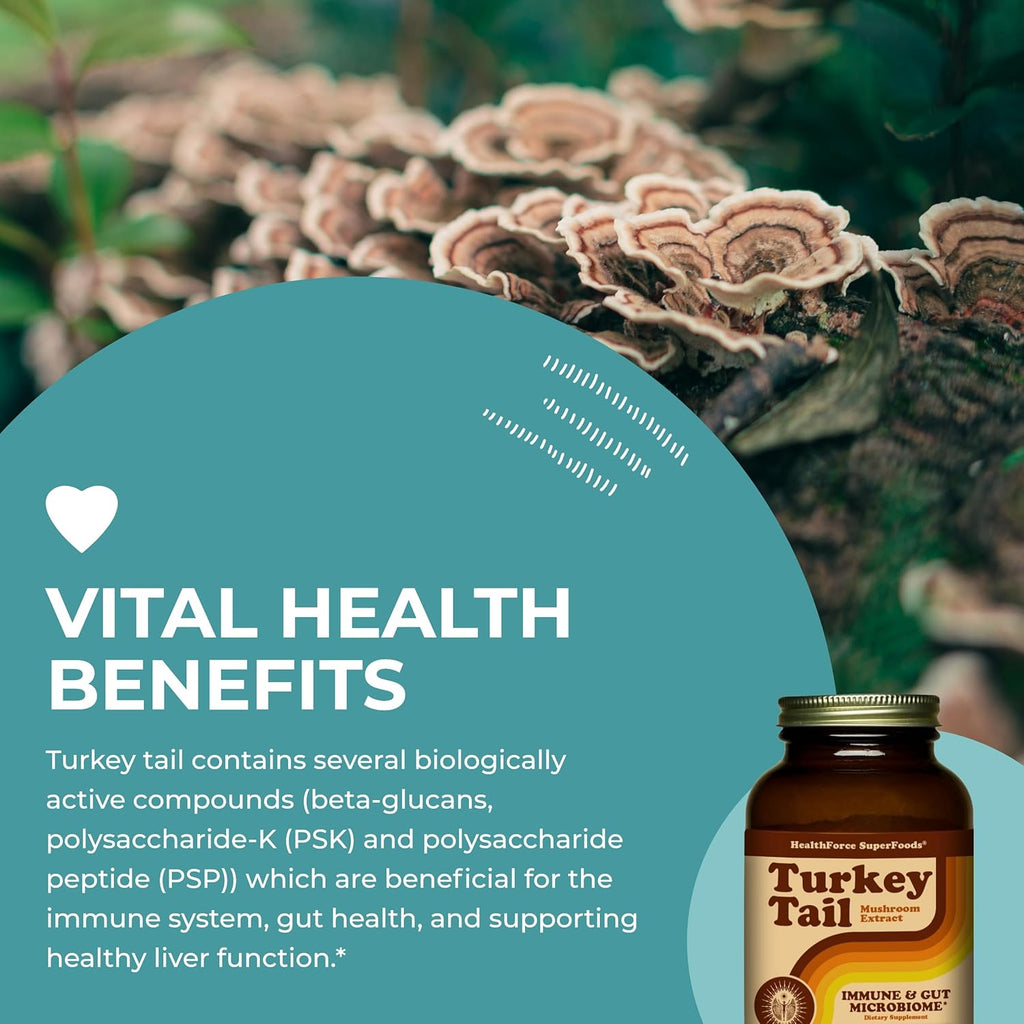 HEALTHFORCE SUPERFOODS Turkey Tail - Powder - 150 Grams
