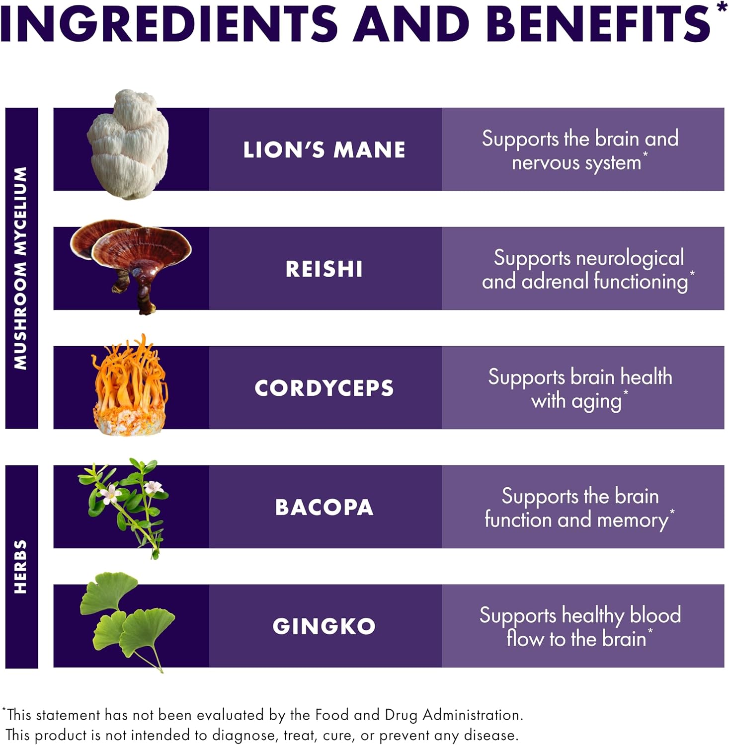 Host Defense MycoBotanicals Brain* Capsules - Brain Support Supplement with Lion's Mane, Reishi & Cordyceps Mushroom - Herbal Supplement for Memory & Focus Support - 60 Capsules (30 Servings)*