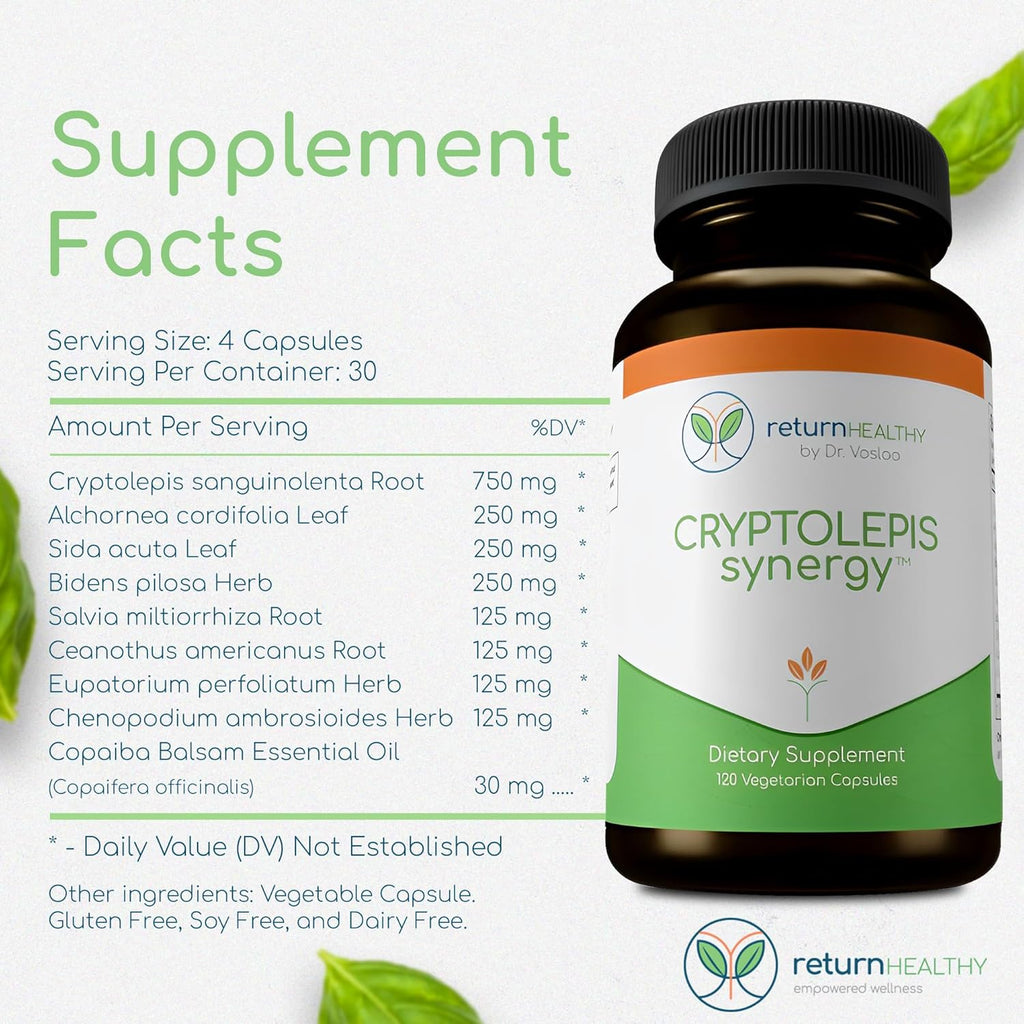 Cryptolepis Synergy, Immune Support Vitamins, Immune System Booster for Adults, Liver, Lymphatic, & Immune Support Supplement, Supports Lyme & Natural Parasite Defense, 120 Capsules