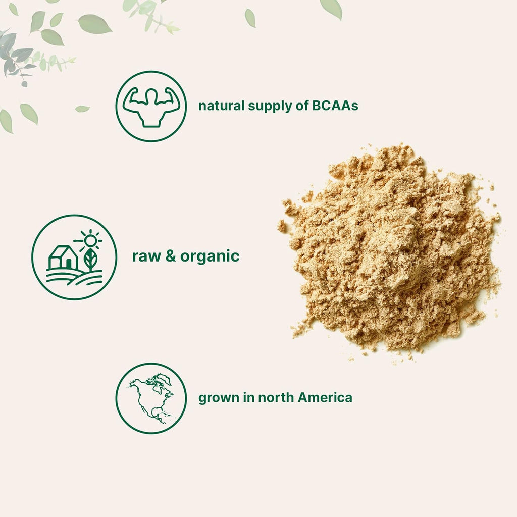 Micro Ingredients North America Grown, Organic Pea Protein Powder, 1KG (2.2 Pounds) | Plant-Based Vegan Protein, Meatless Protein Supplement, Rich in Branched Chain Amino Acids | Non-GMO, Soy Free