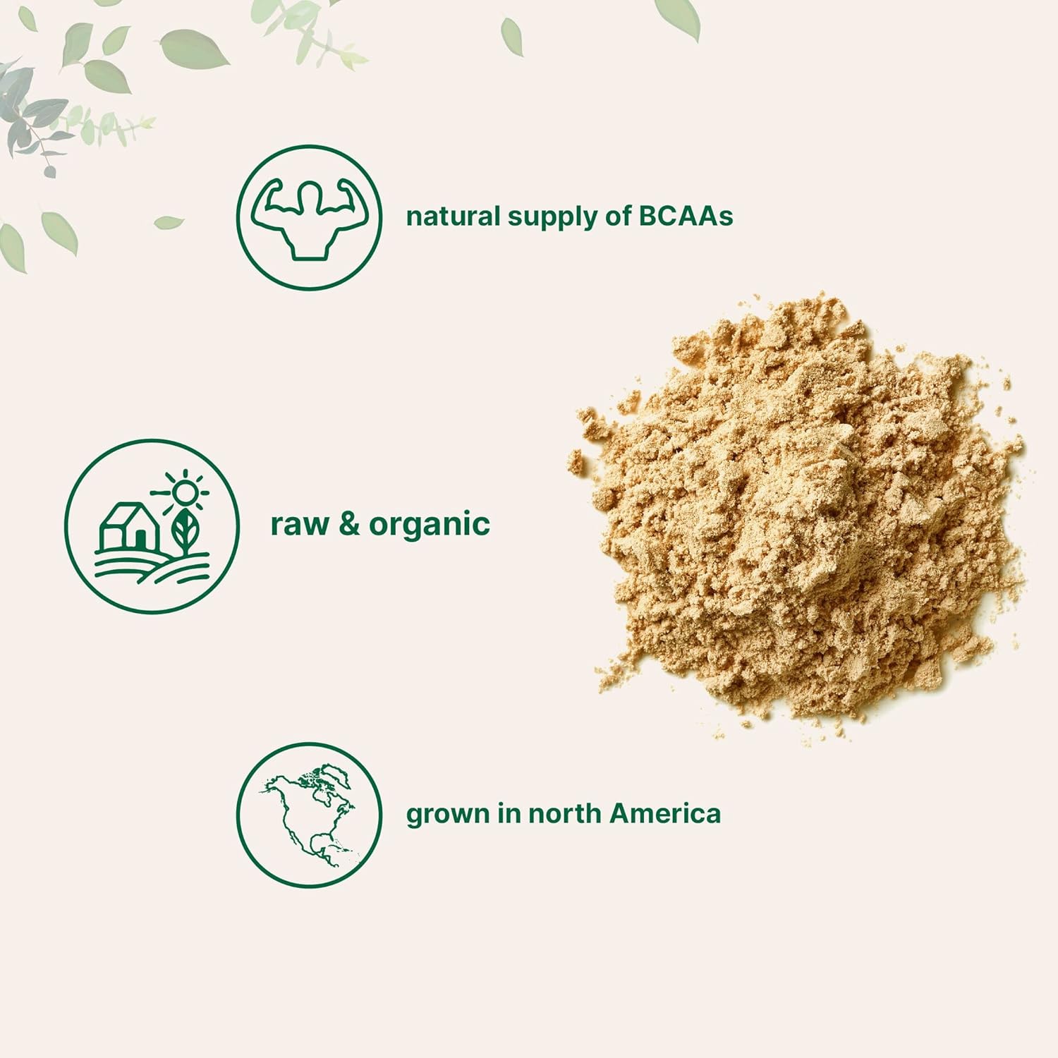 Micro Ingredients North America Grown, Organic Pea Protein Powder, 1KG (2.2 Pounds) | Plant-Based Vegan Protein, Meatless Protein Supplement, Rich in Branched Chain Amino Acids | Non-GMO, Soy Free