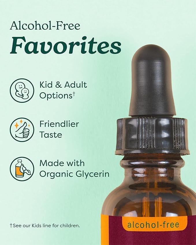 Herb Pharm Certified Organic Alcohol-Free Oat Seed Glycerite for Nervous System Support - 1 Fl Oz (Pack of 1)