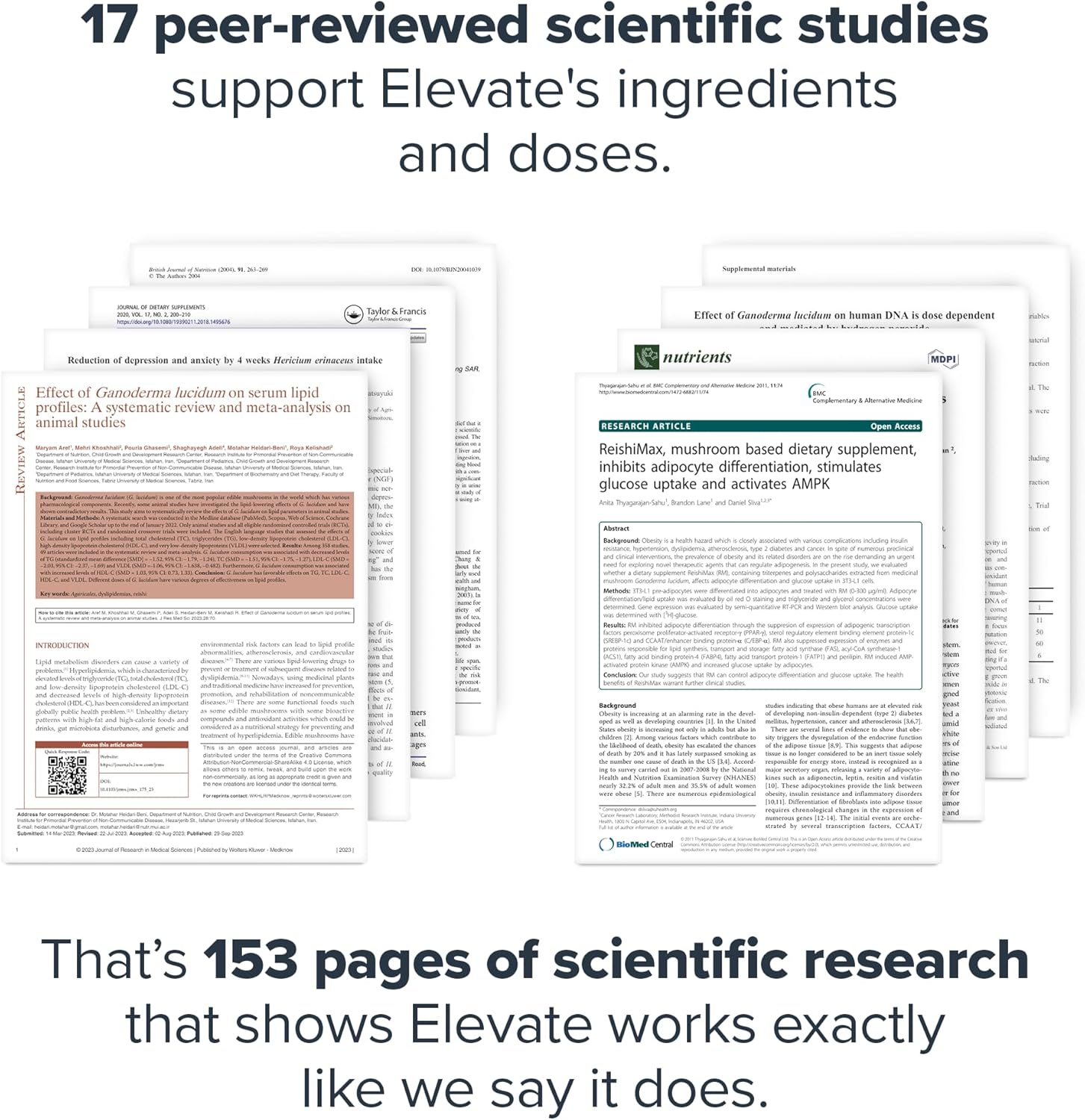 LEGION Elevate Mushroom Supplement Powder - Mushroom Blend of Lions Mane Powder, Reishi Powder & Beta-Glucan- Mushroom Powder to Boost Immune System, Mood & Performance Dutch Chocolate (30 Servings)