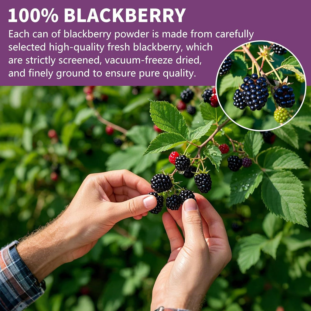 Blackberry Powder Black Raspberry Powder, Frozen Blackberries Powde-r, Blackberry Powde-r, 6.52OZ/185G No Sugar or Added, For Baking, Dressing, Smoothies, Beverages, Cereals, Yogurt