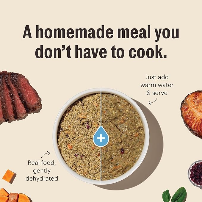 The Honest Kitchen Human Grade Wholemade™ Dehydrated Whole Grain Dog Food - Complete & Balanced Meal or Topper - Chicken 4 lb Box
